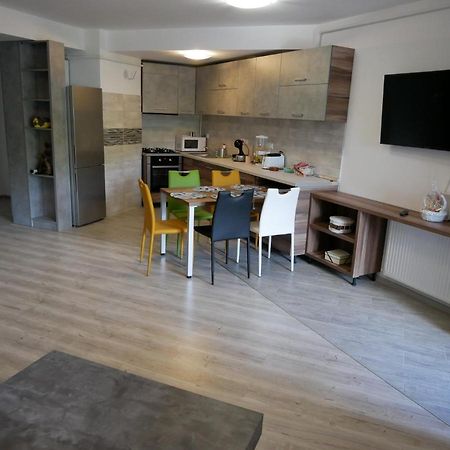 Apartamento Riky Apart Mountain View Sinaia Exterior foto