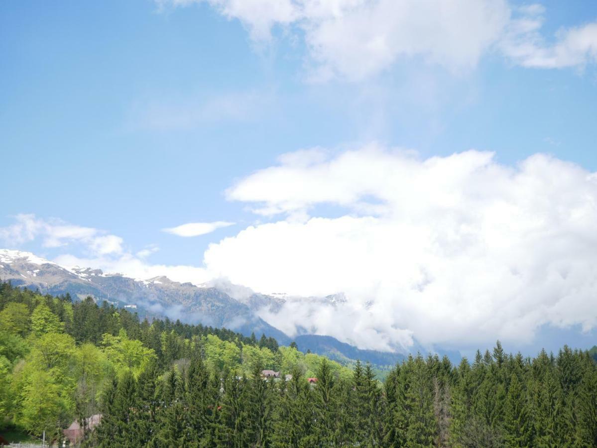 Apartamento Riky Apart Mountain View Sinaia Exterior foto