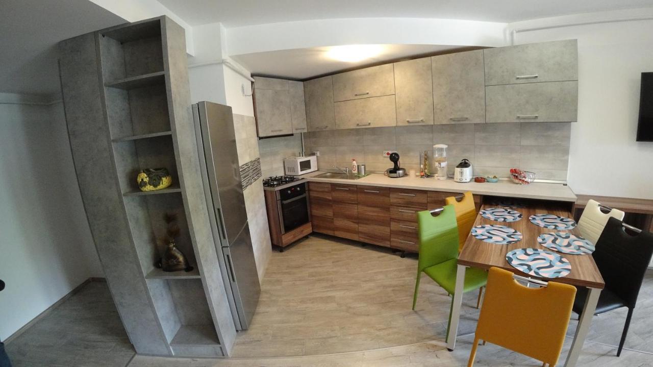 Apartamento Riky Apart Mountain View Sinaia Exterior foto