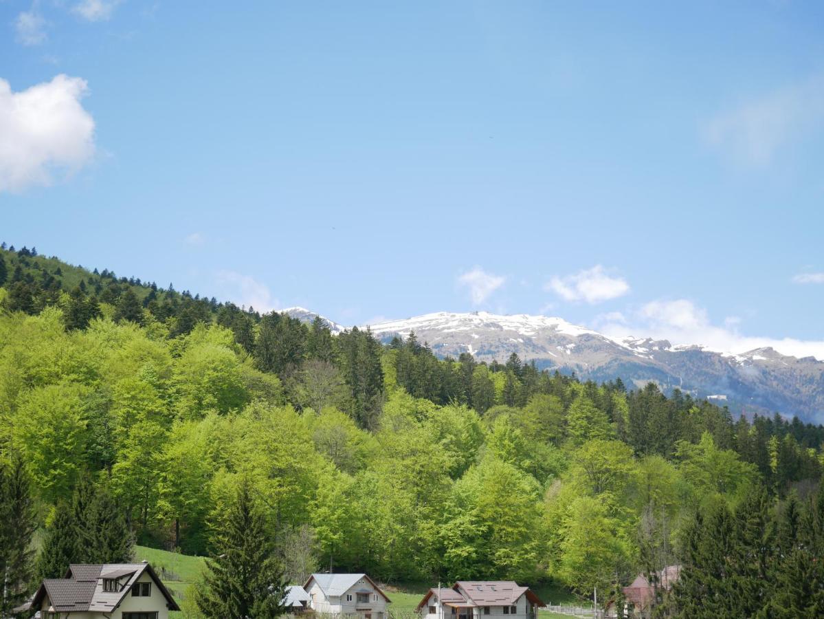 Apartamento Riky Apart Mountain View Sinaia Exterior foto