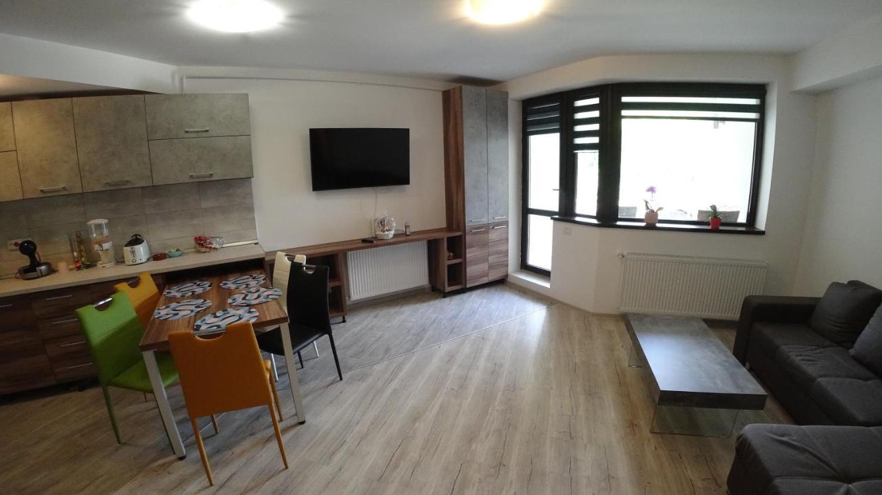 Apartamento Riky Apart Mountain View Sinaia Exterior foto